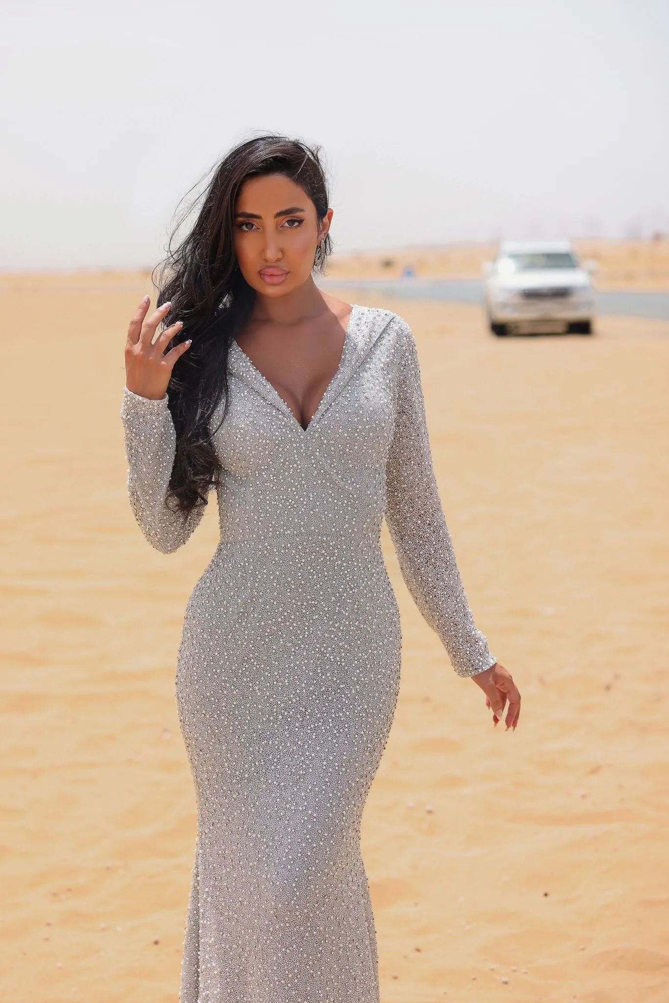 Chic and Holland  Dress