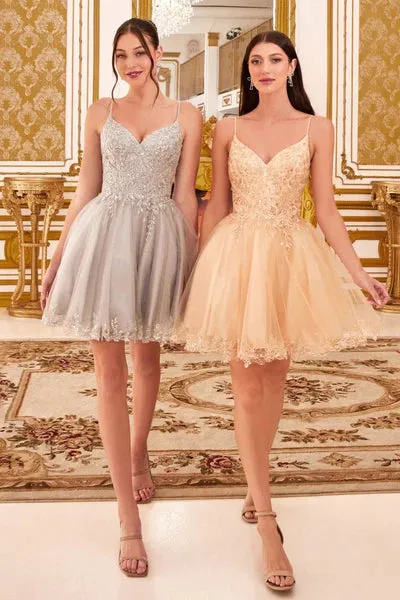 Cinderella Divine  CD0213 Dress