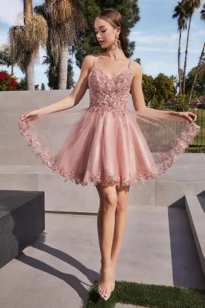 Cinderella Divine  CD0213 Dress