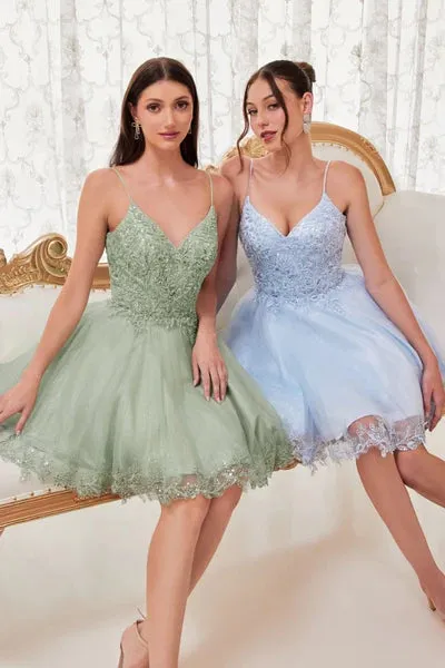 Cinderella Divine  CD0213 Dress