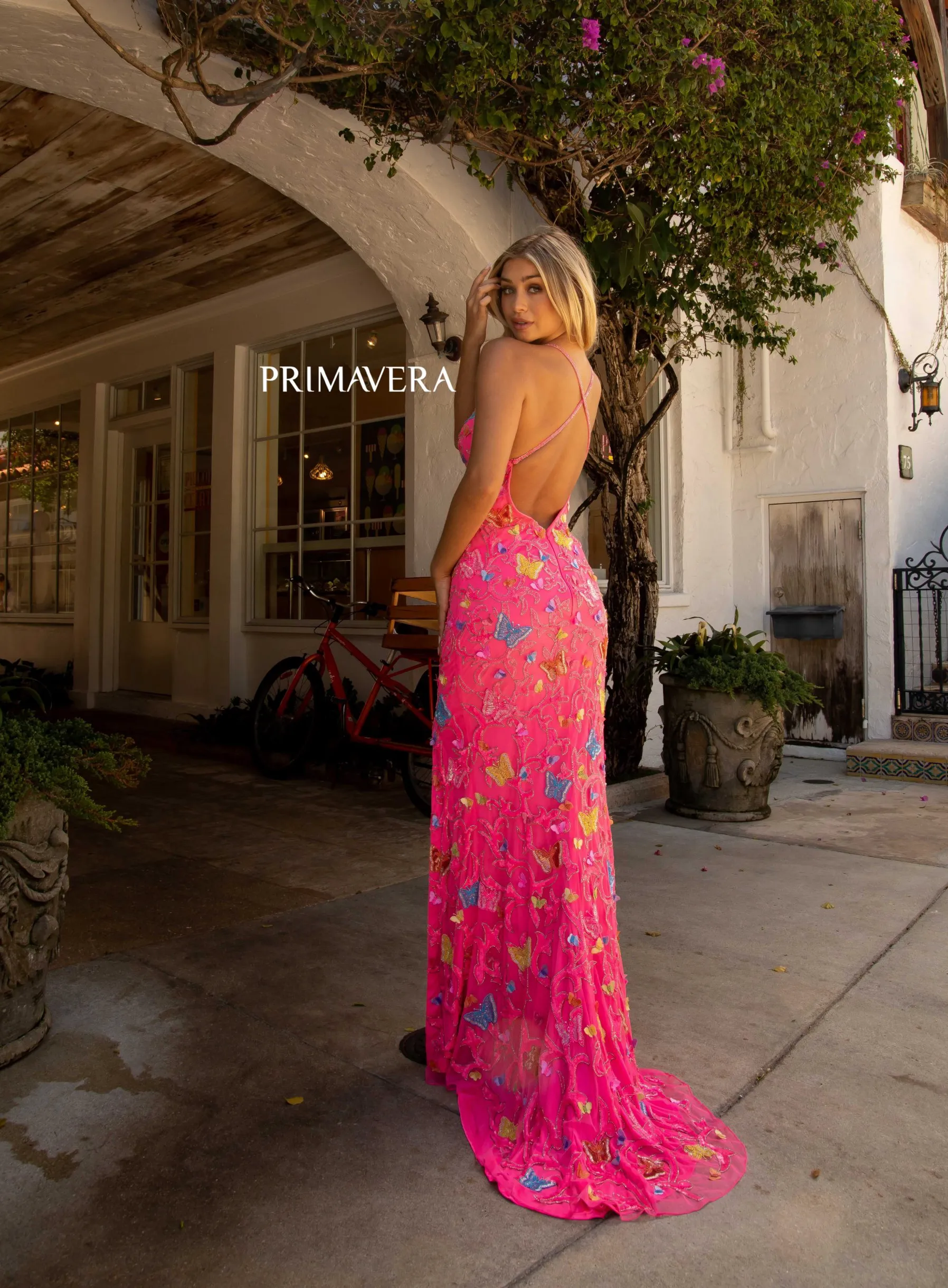 PRIMAVERA 3748