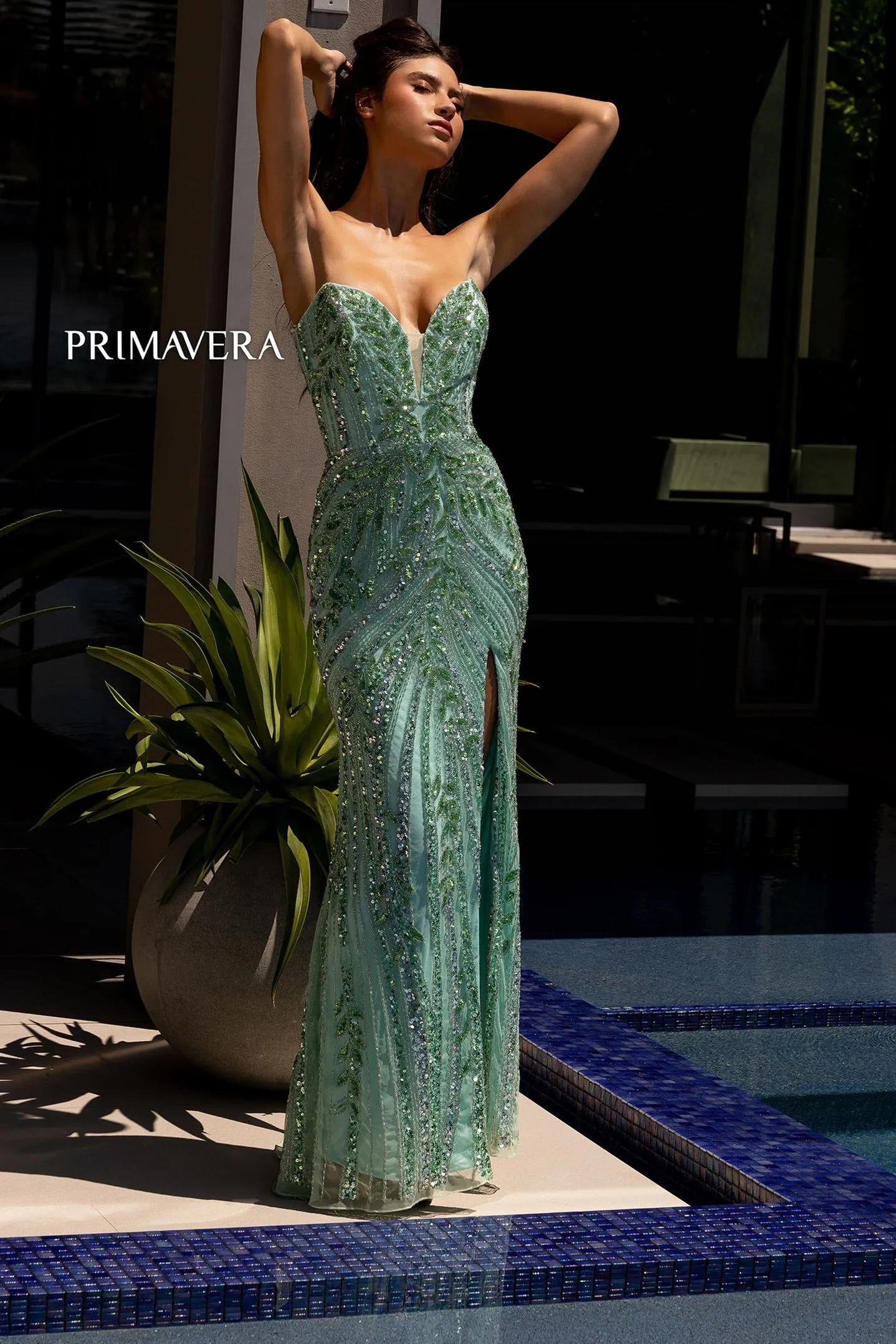 Primavera 4134