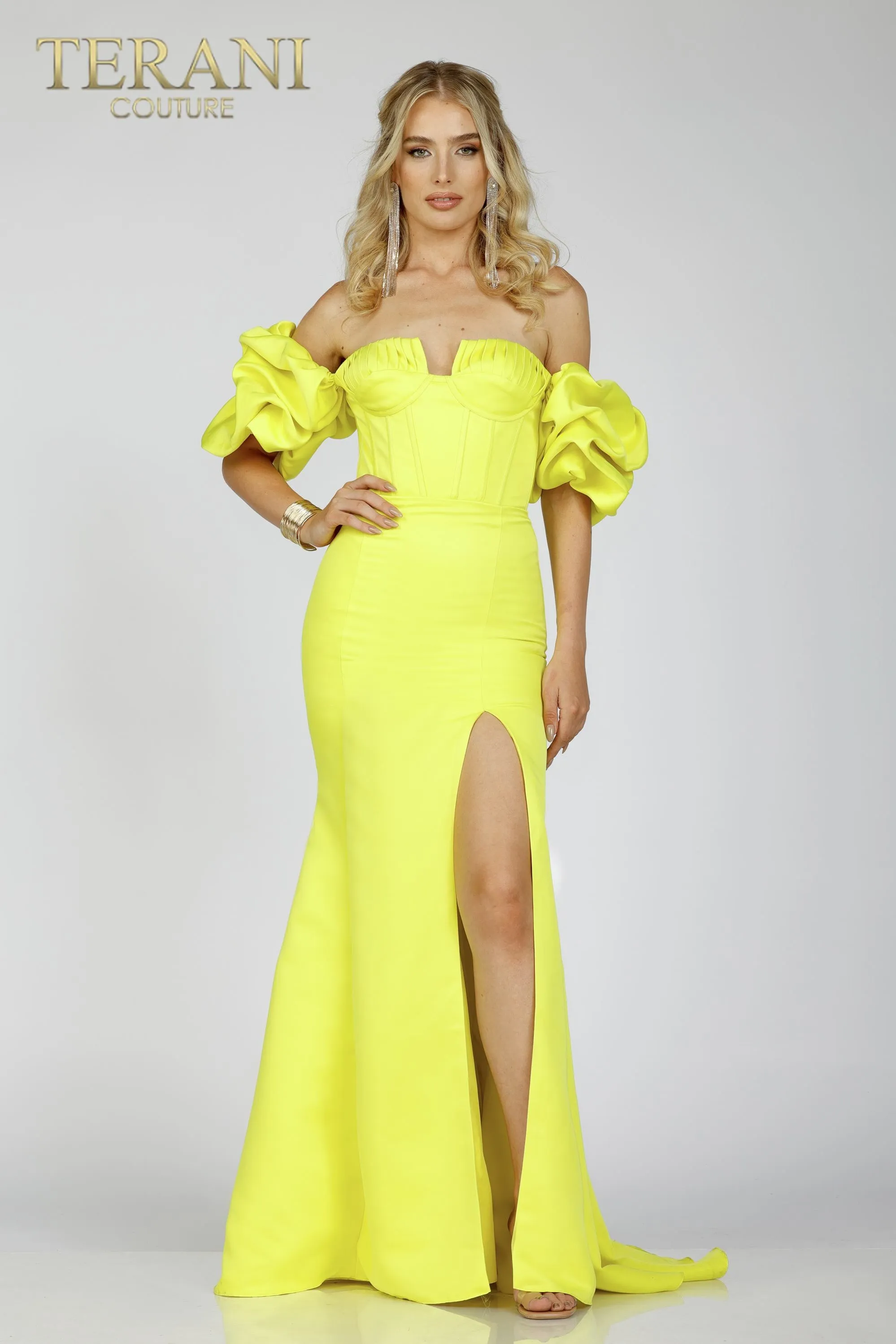 Terani Couture 231P0181
